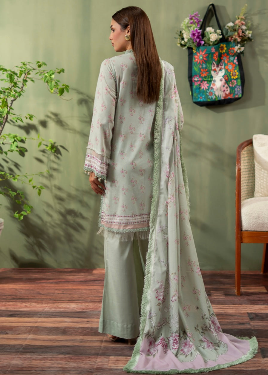 MCMY103-PREMIUM LAWN SUIT