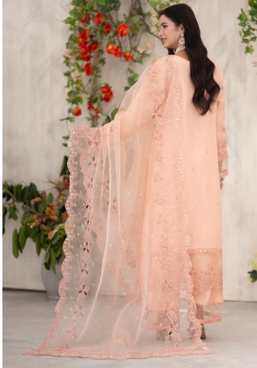 MCBN212-PREMIUM ORGANZA SUITS