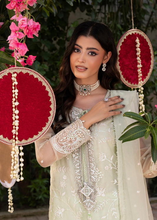 MCZH207-PREMIUM ORGANZA SUIT
