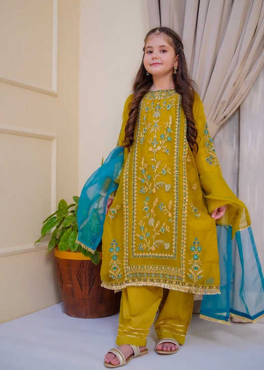 MCK105-READY TO WEAR EMBROIDERED SUIT