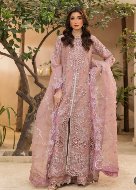 MCH102-LUXURY EMBROIDERED ORGANZA SUIT