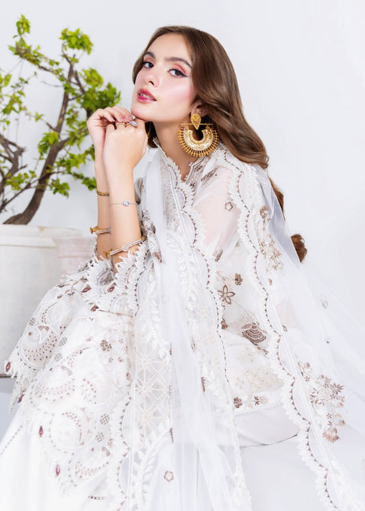 MCRM107-PREMIUM CHIFFON SUITS
